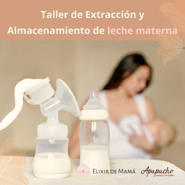 Taller de extraccion